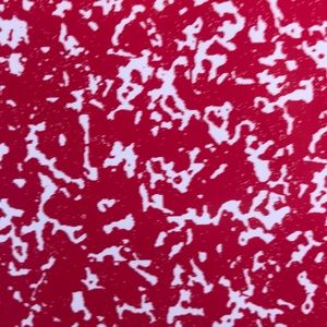 Meet your Posher, Regina